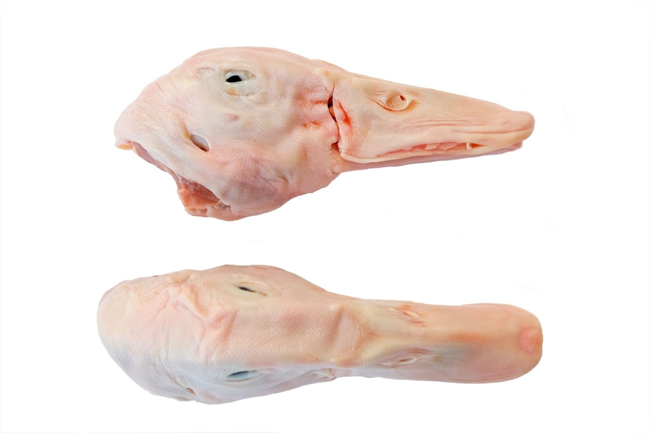 Rawr duck heads frozen