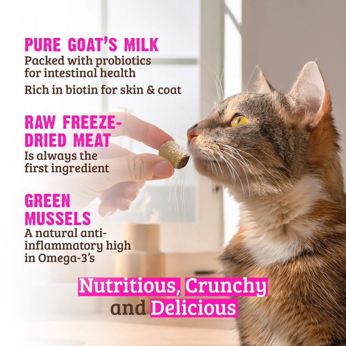 Rawz Raw Freeze Dried Rabbit with Goats Milk and Green Mussels Cat Treats