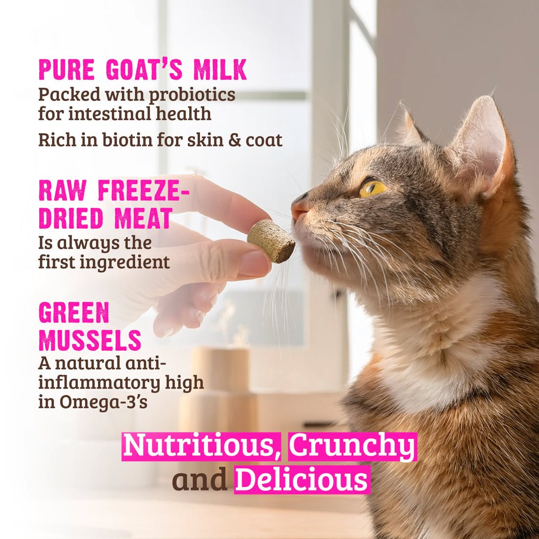 Rawz Raw Freeze Dried Venison Cat Treats - Venison Goats Milk and Green Mussels