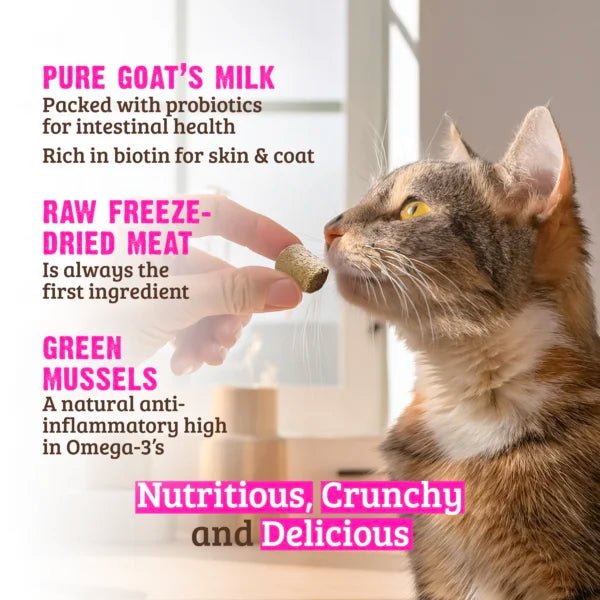Rawz Raw Freeze Dried Venison Cat Treats - Wild Caught Salmon with Goats Milk and Green Mussels