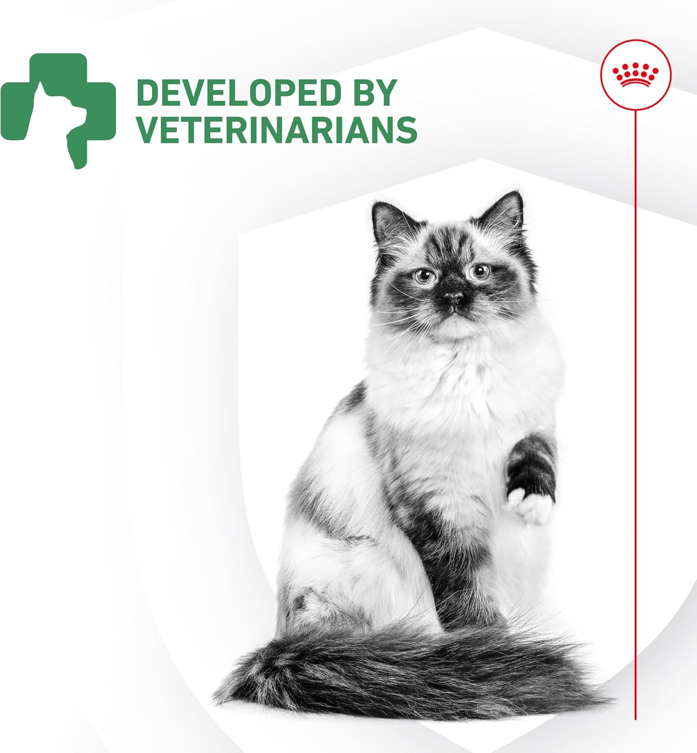 Royal canin cat probiotics 7 pack