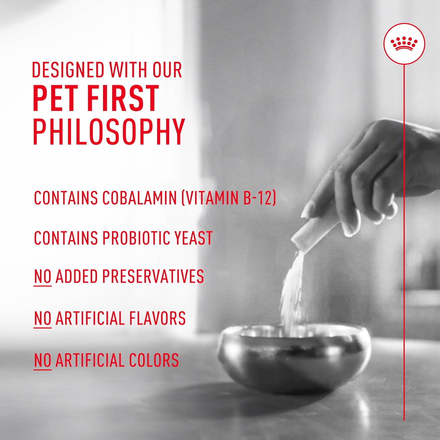 Royal canin cat probiotics 7 pack