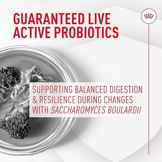 Royal canin cat probiotics 7 pack