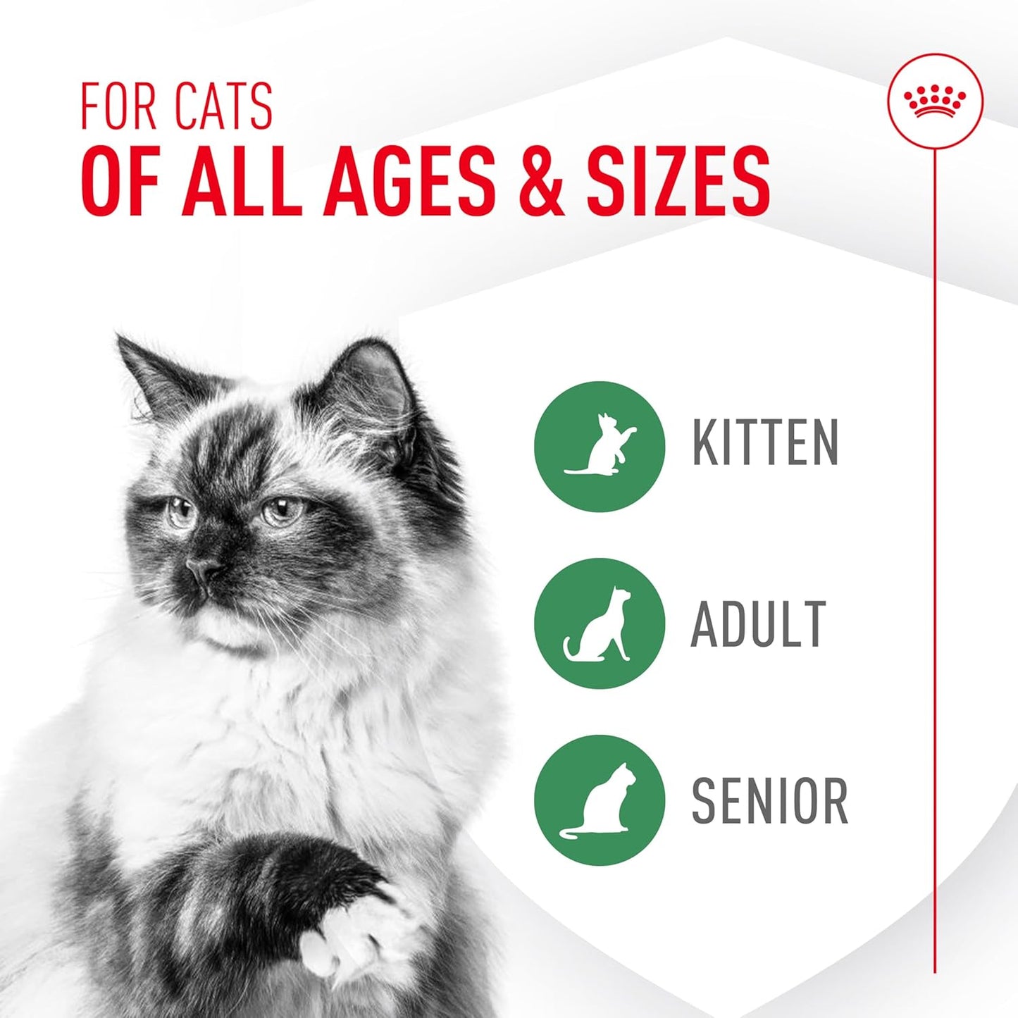 Royal canin cat probiotics 7 pack