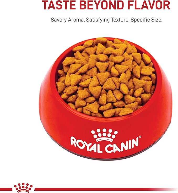 Royal Canin Feline Health Nutrition Adult Indoor Dry Cat Food, 3 - lb bag
