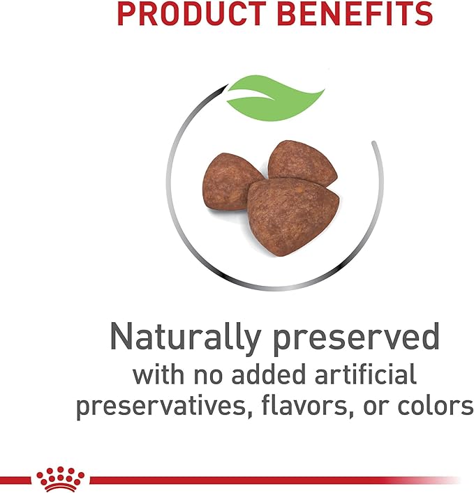 Royal Canin Size Health Nutrition Small Indoor Puppy Dry Dog Food, 2.5 - lb bag