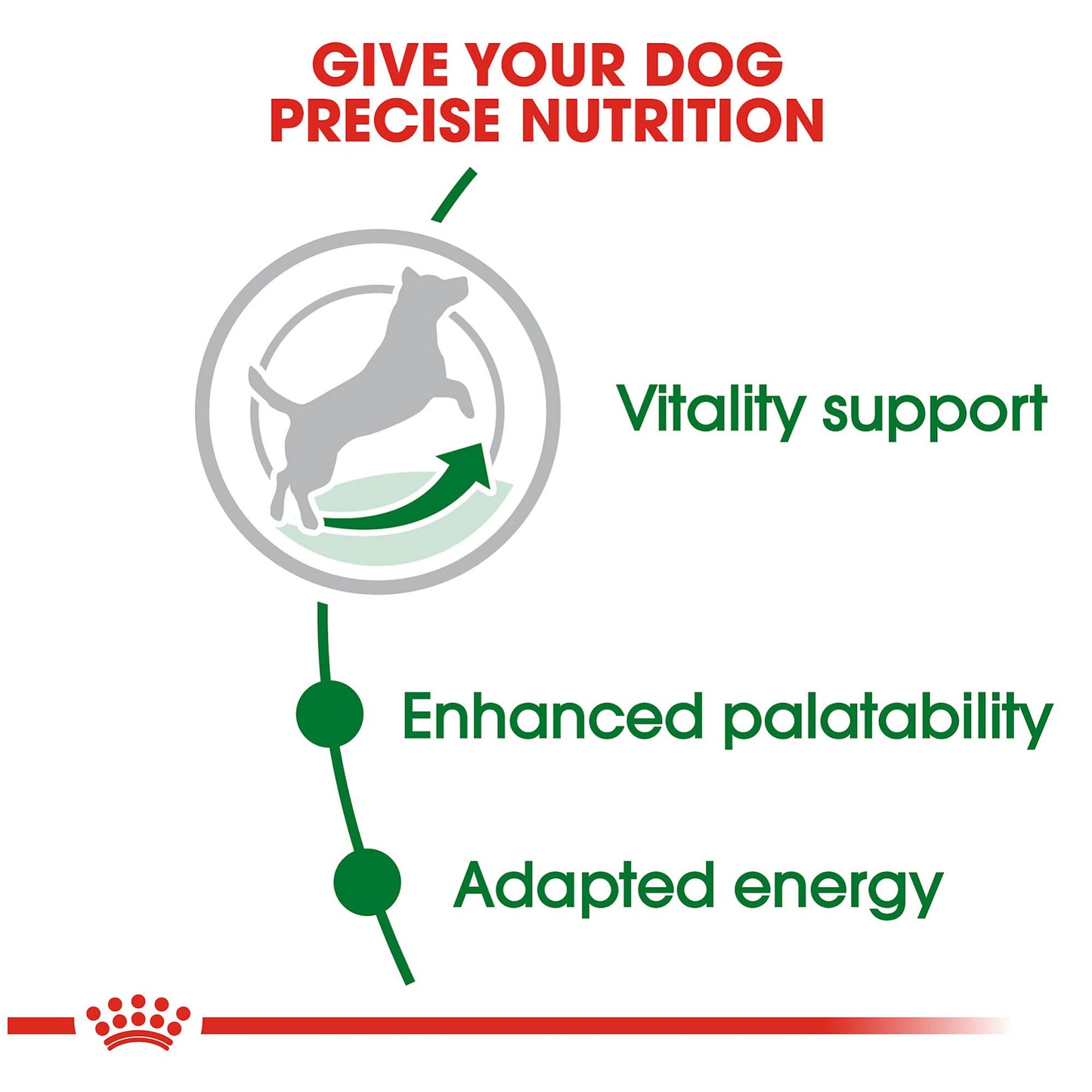 Royal Canin Small Adult 8+ Dry Dog Food, 2.5 lb Bag - Nutrition for Senior Small Breed Dogs