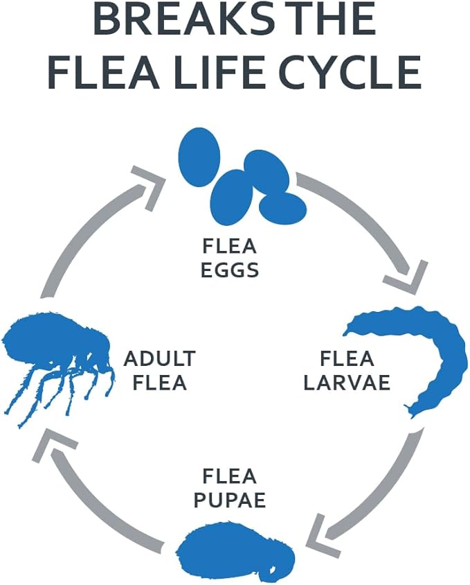 Sentry Fiproguard for Cats, Flea and Tick Prevention for Cats (1.5 Pounds and Over), Includes 3 Month Supply of Topical