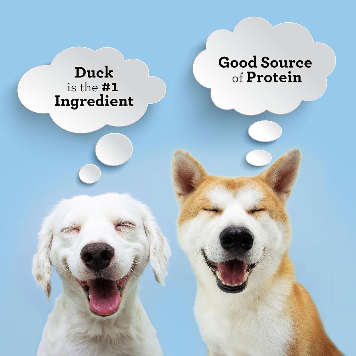 SmartBones Protein Rings with Real Duck, Pumpkin and Flaxseed, 5 OZ