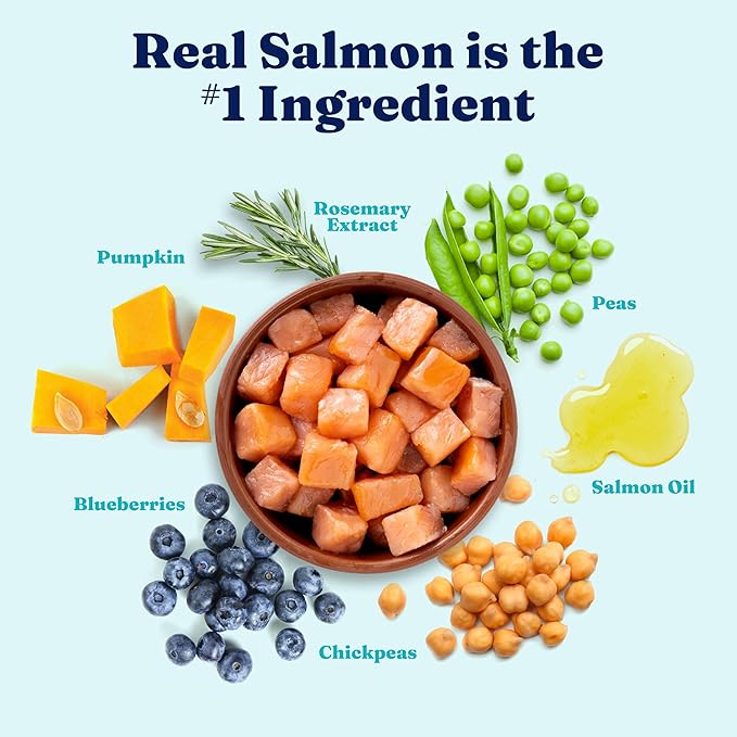 Solid Gold Sensitive Stomach Gut Health Cold Water Salmon & Vegetable Grain - Free Dry Dog Food, 3.75 - lb bag