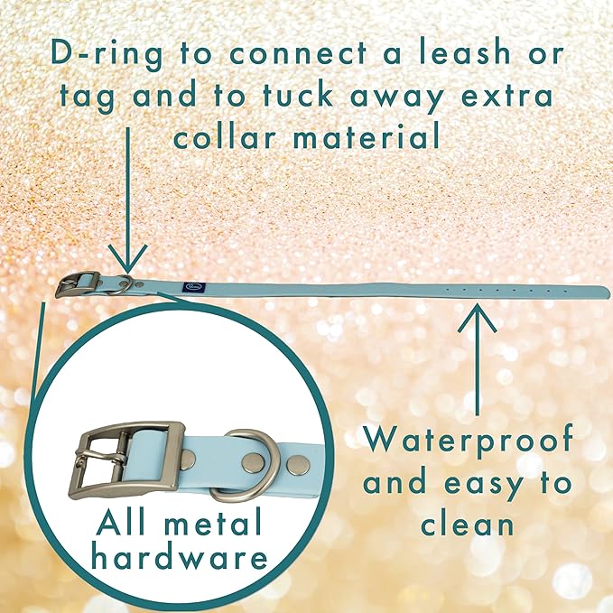 Solid pvc dog collar light blue - small