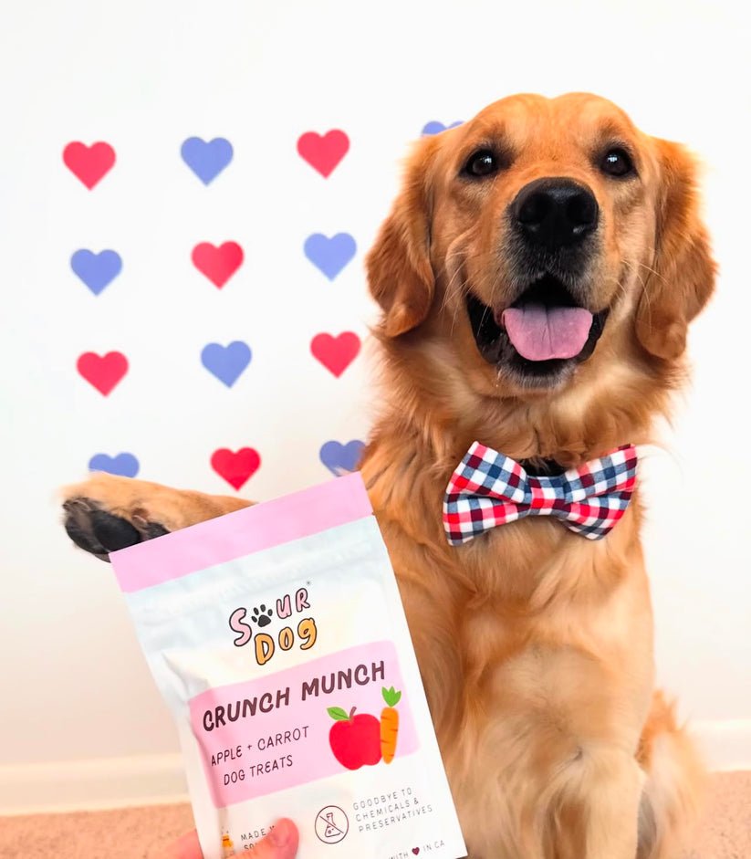 Sour dog crunch munch apple and carrot recipe dog treats