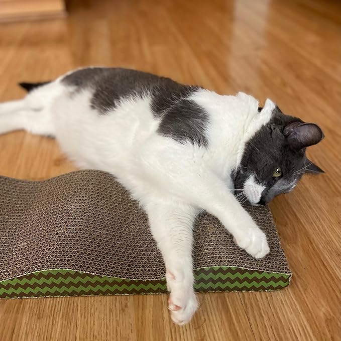 Spot Wave Cat Scratcher - 17"