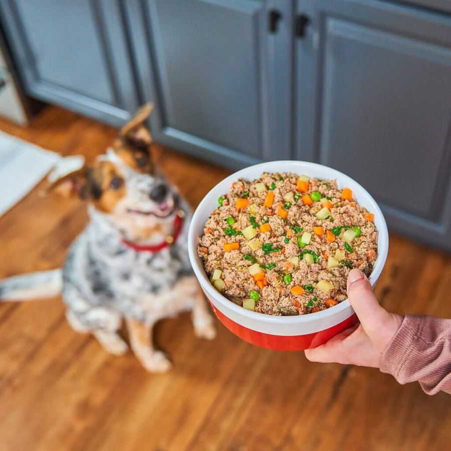Stella and Chewy’s fresh made beefy - Lucious frozen food in juicy bone broth