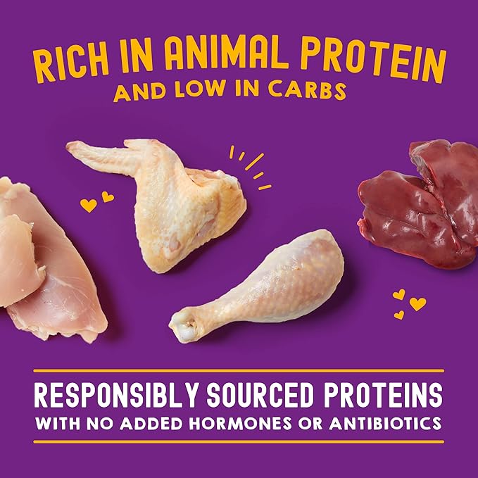 STELLA & CHEWY'S CRAVINGS MORSELS WITH GRAVY CAT FOOD 2.8 OZ - CHICKEN & CHICKEN LIVER