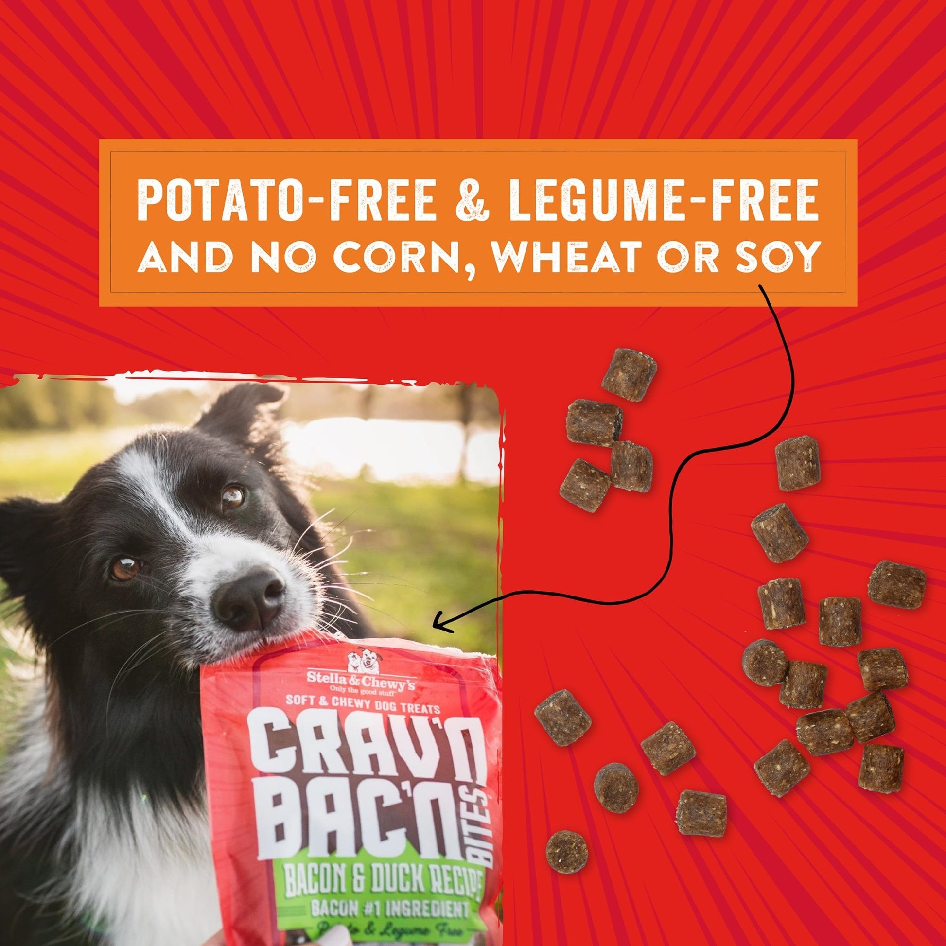 Stella & Chewy's Crav'n Bac'n Dog Treats Bacon & Beef Recipe, 8.25 oz. Bag