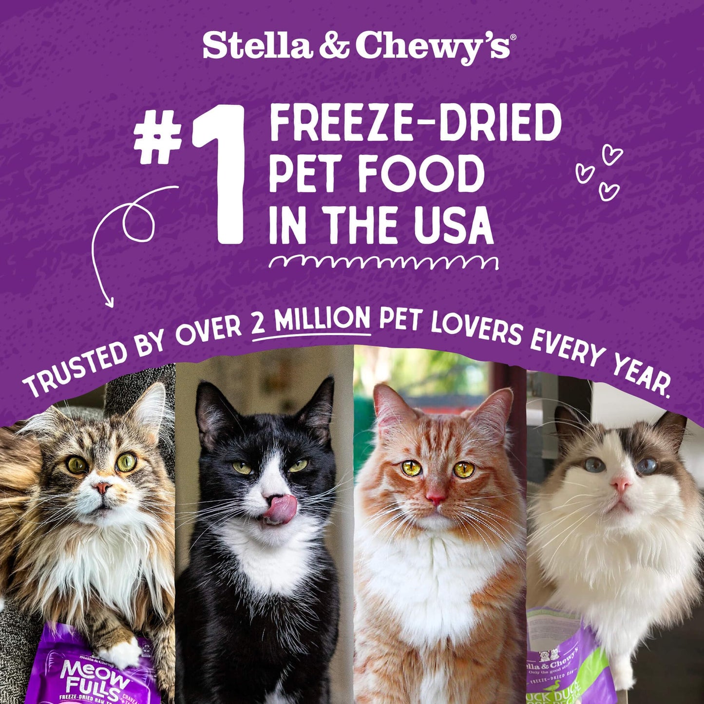 Stella & Chewy's Freeze - Dried Raw Cat Dinner Morsels – Grain Free, Protein Rich Cat & Kitten Food – Yummy Lickin’ Salmon & Chicken Recipe – 3.5 oz Bag