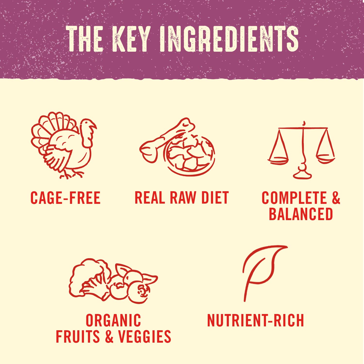 Stella & Chewy's Freeze Dried Raw Dinner Patties | Tantalizing Turkey Recipe | 14 oz Bag