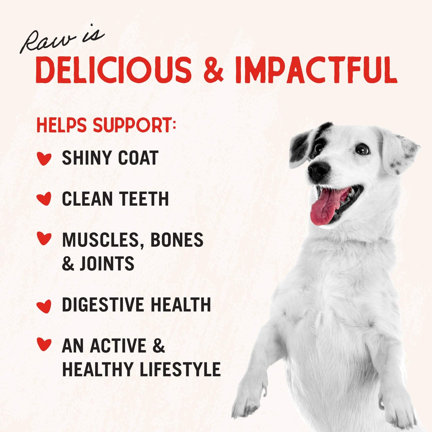 Stella & Chewy's Freeze - Dried Raw Single Ingredient Chicken Breast Treats, 2.75 oz. Bag