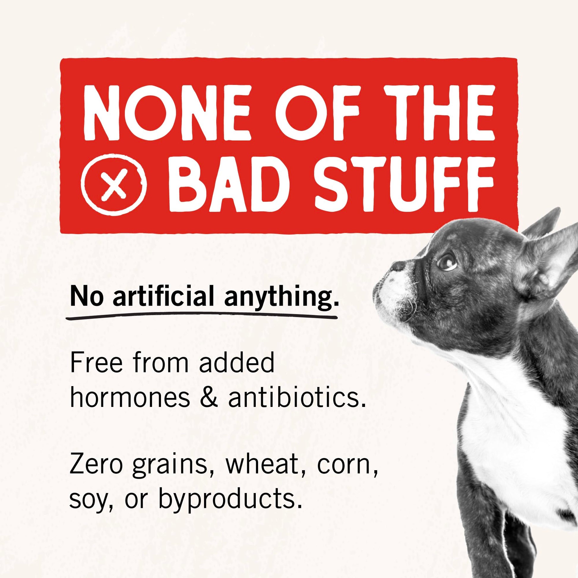 Stella & Chewy's Freeze - Dried Raw Single Ingredient Chicken Hearts Dog Treats, 11.5 oz. Bag