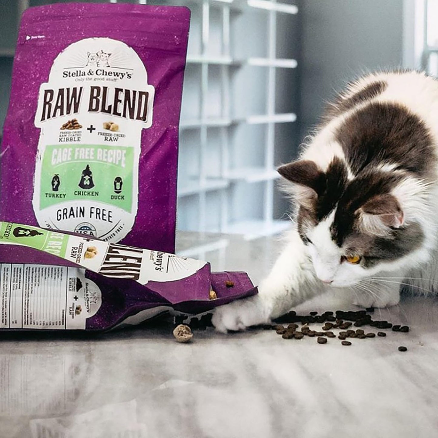 Stella & Chewy's Raw Blend Premium Kibble Cat Food – Grain Free, Protein Rich Meals – Cage - Free Poultry Recipe – 2.5 lb. Bag