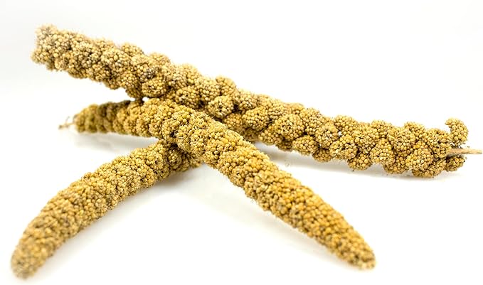 Sunseed golden millet spray 4oz bird treat