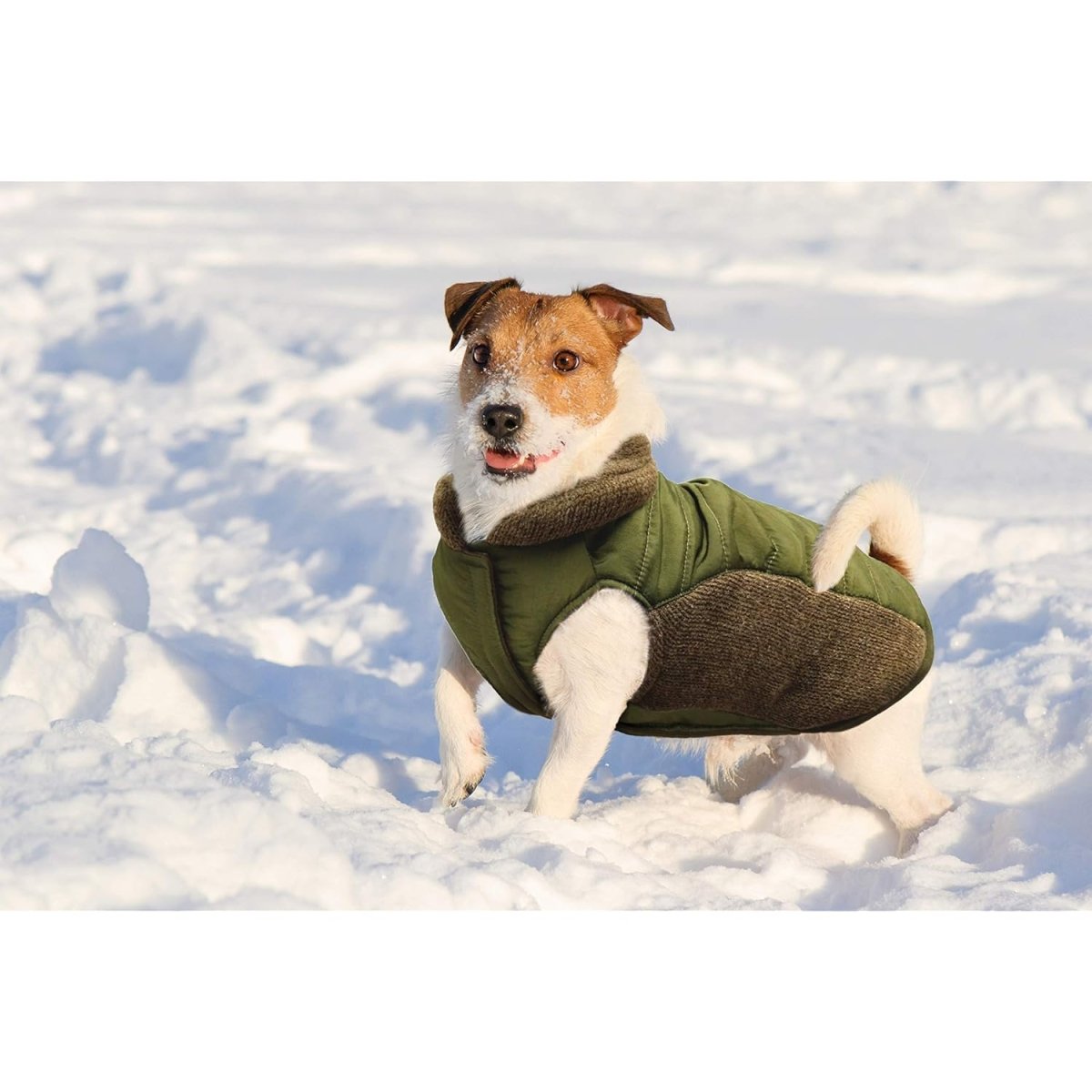 Sweater Trim Puffy Coat For Dog - Olive - Extra Small Dog Coat