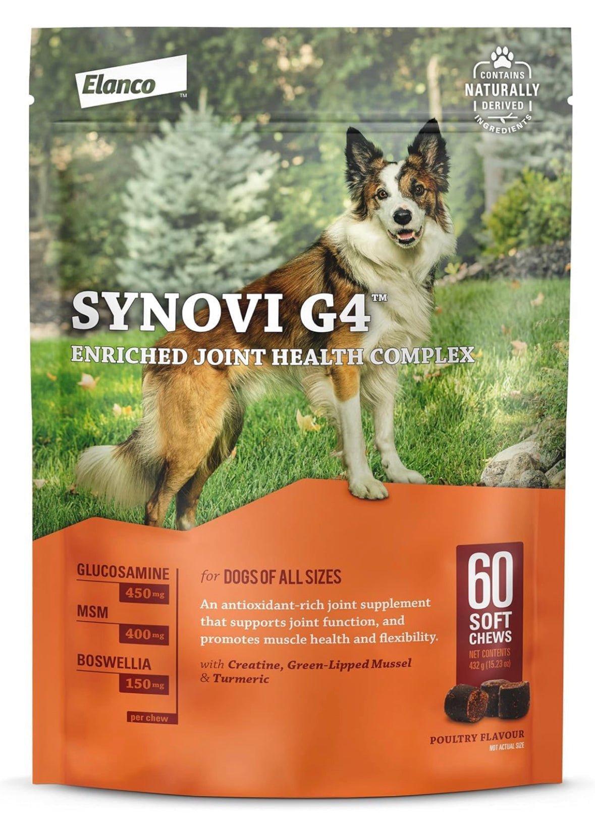 Synovi G4 Dog Joint Supplement Chews, 60 - Count