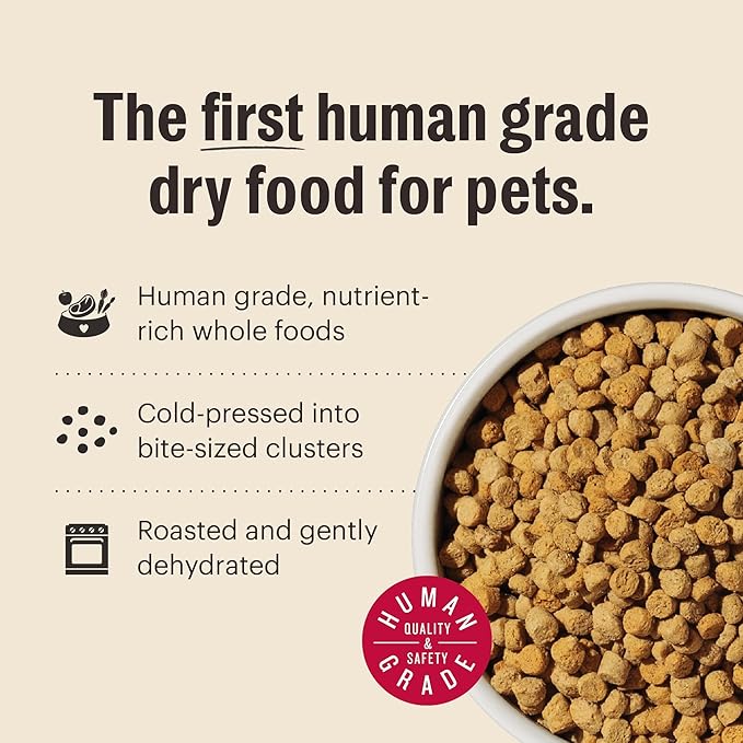 The honest kitchen grain free chicken & fish dry cat kibble food 1lb kibble