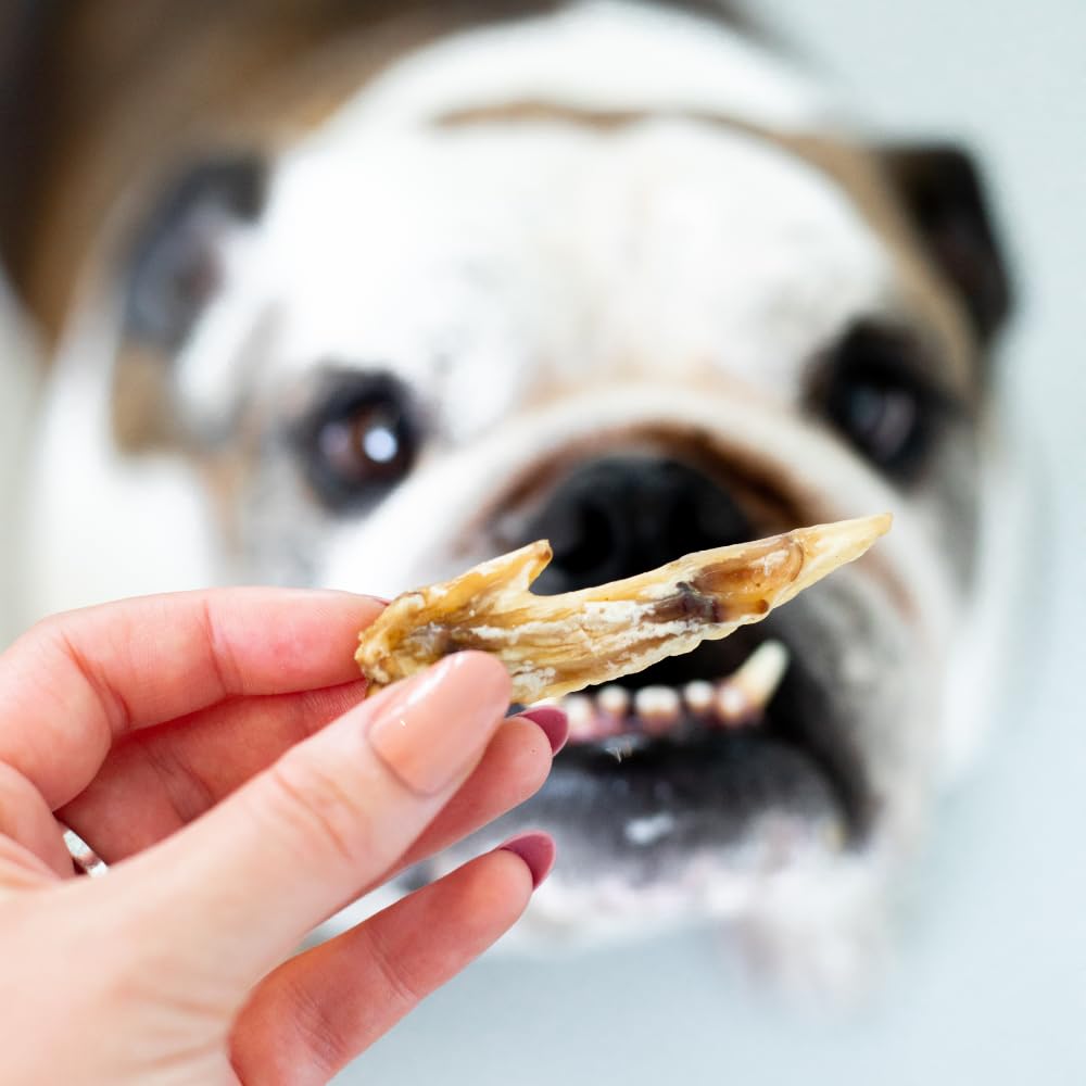 The New Zealand Natural Pet Food Co WOOF Air Dried Dog Treats - Chicken Wing Tip, High Protein, Dog Treats Small Dogs and Dog Treats for Large Dog, Natural, Topper or Dog Treat, 1.76 oz