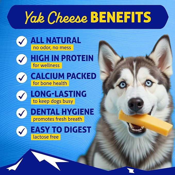 The original Himalayan dog chew cheese small