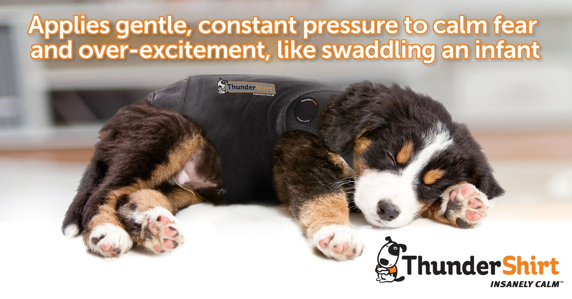 Thundershirt Dogs Clothing Thundershirt Dog Anxiety Jacket, Platinum, Large