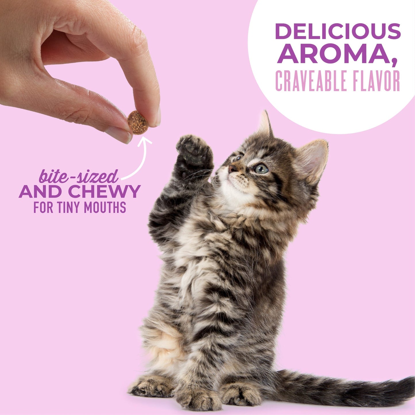 Tiki cat baby soft and chewy mini treats for kittens 2 oz