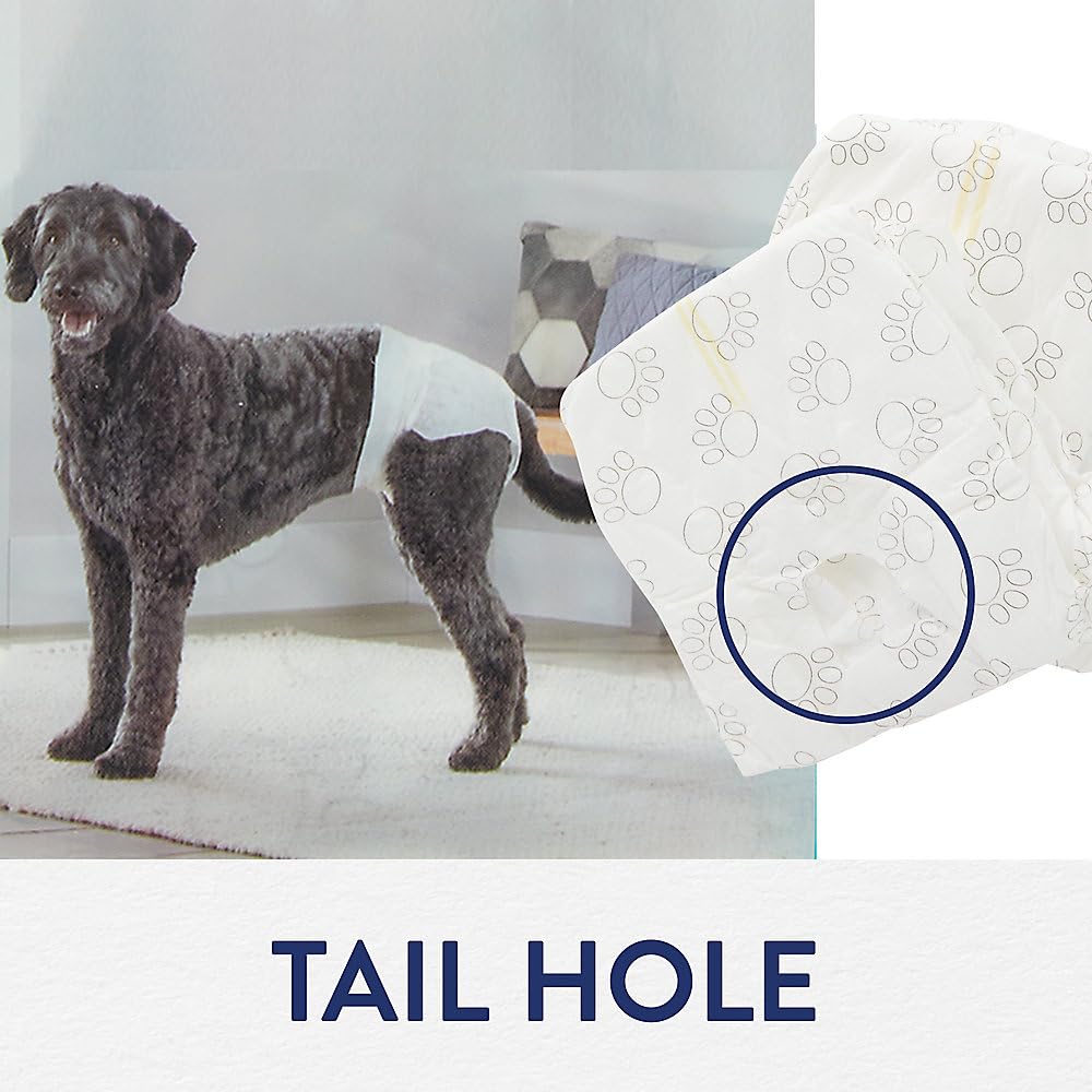 Top Paw Disposable Dog Diapers