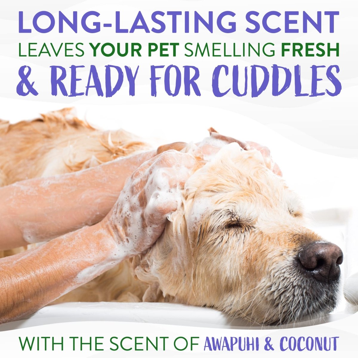 TropiClean Awapuhi Coconut Whitening Dog Shampoo for White Coats & All Coat Types - Natural Pet Shampoo Derived from Natural Ingredients - 20 oz
