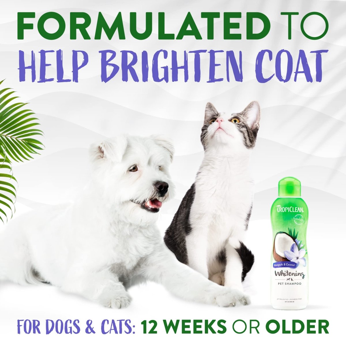 TropiClean Awapuhi Coconut Whitening Dog Shampoo for White Coats & All Coat Types - Natural Pet Shampoo Derived from Natural Ingredients - 20 oz