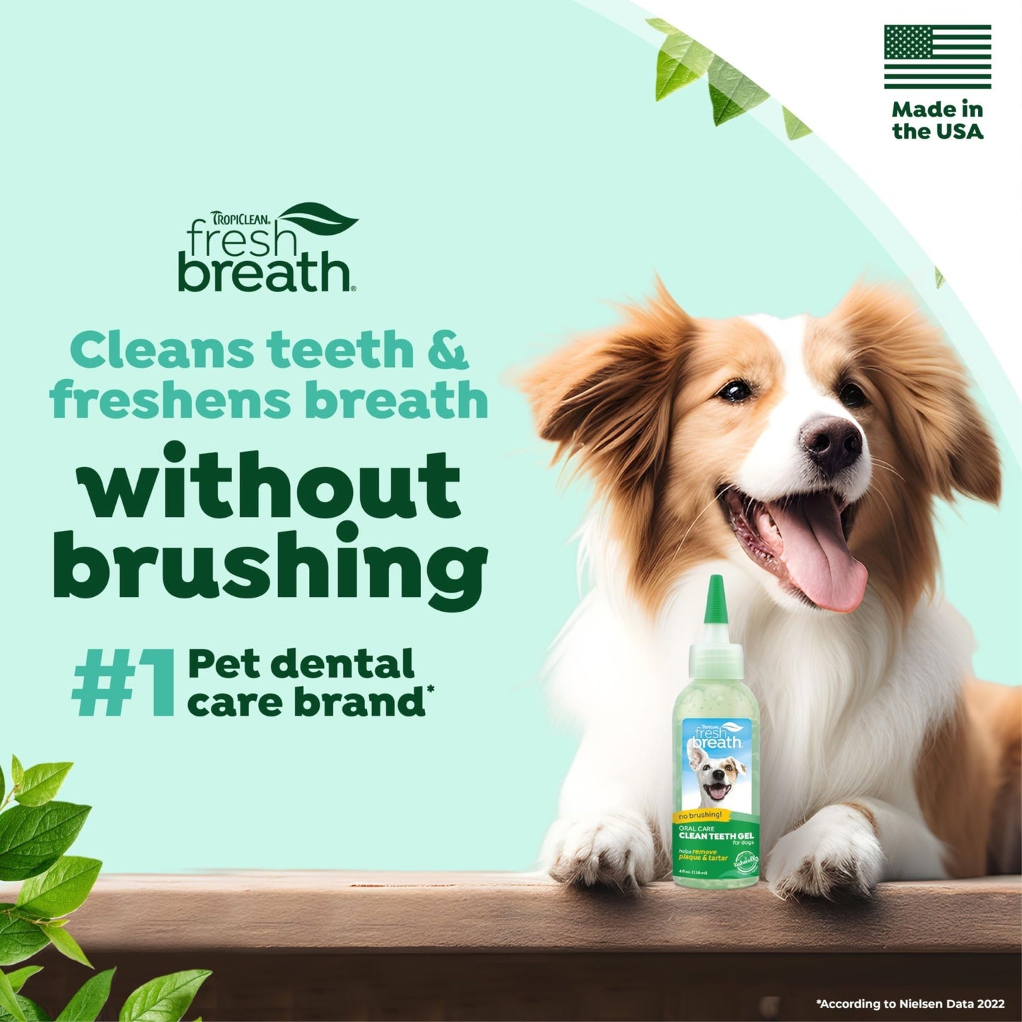 Tropiclean Fresh Breath For Dogs | No Brush Dental Gel For Dogs | Dog Dental Gel & Toothpaste For Plaque, Tartar & Stinky Breath | Made In The Usa | 4 Oz.