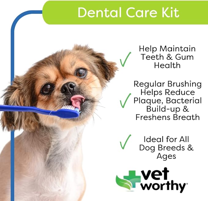 Vet worthy dental care kit