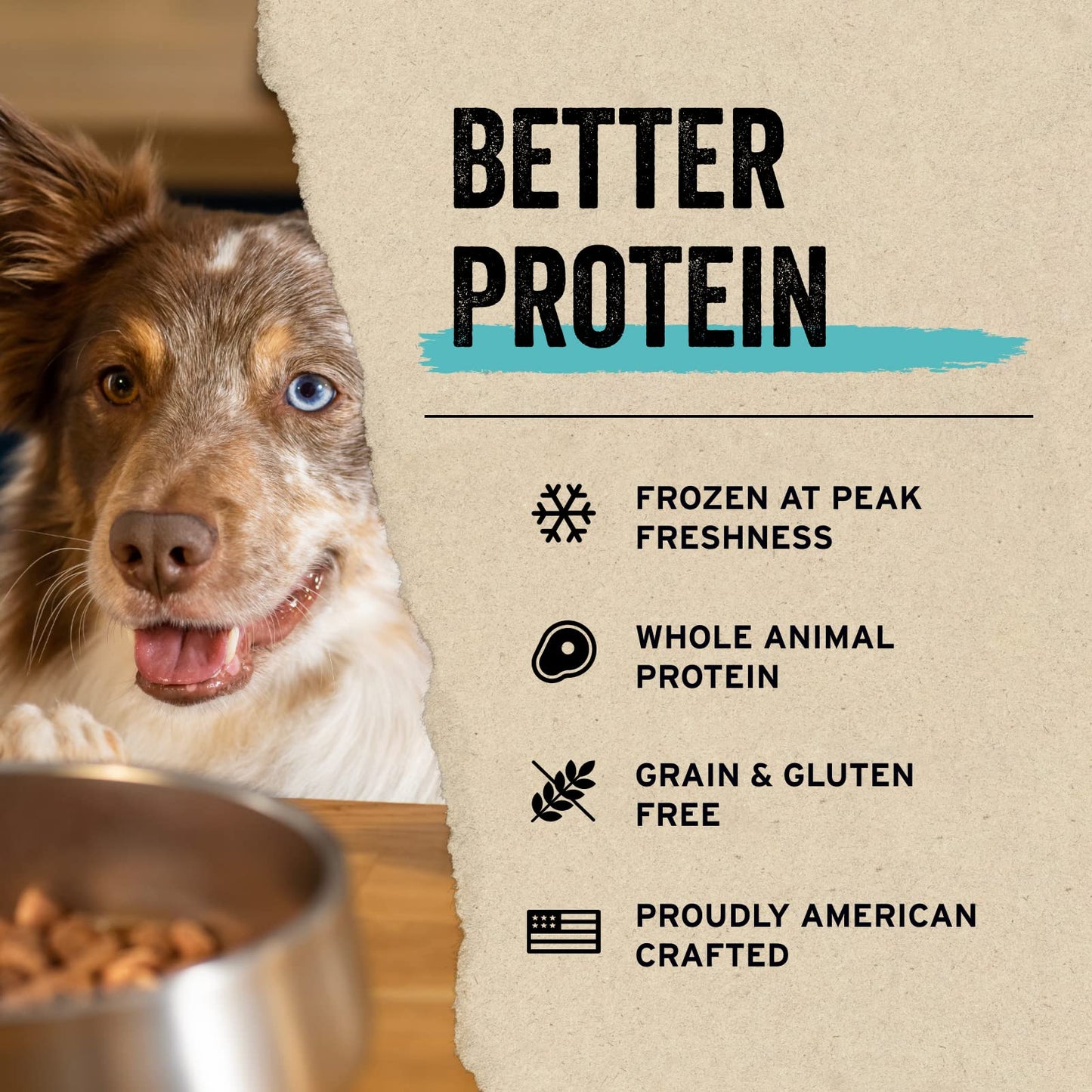 Vital Essentials Freeze Dried Raw Protein Mix - in Dog Food Topper, Salmon Mini Nibs Topper for Dogs, 6 oz