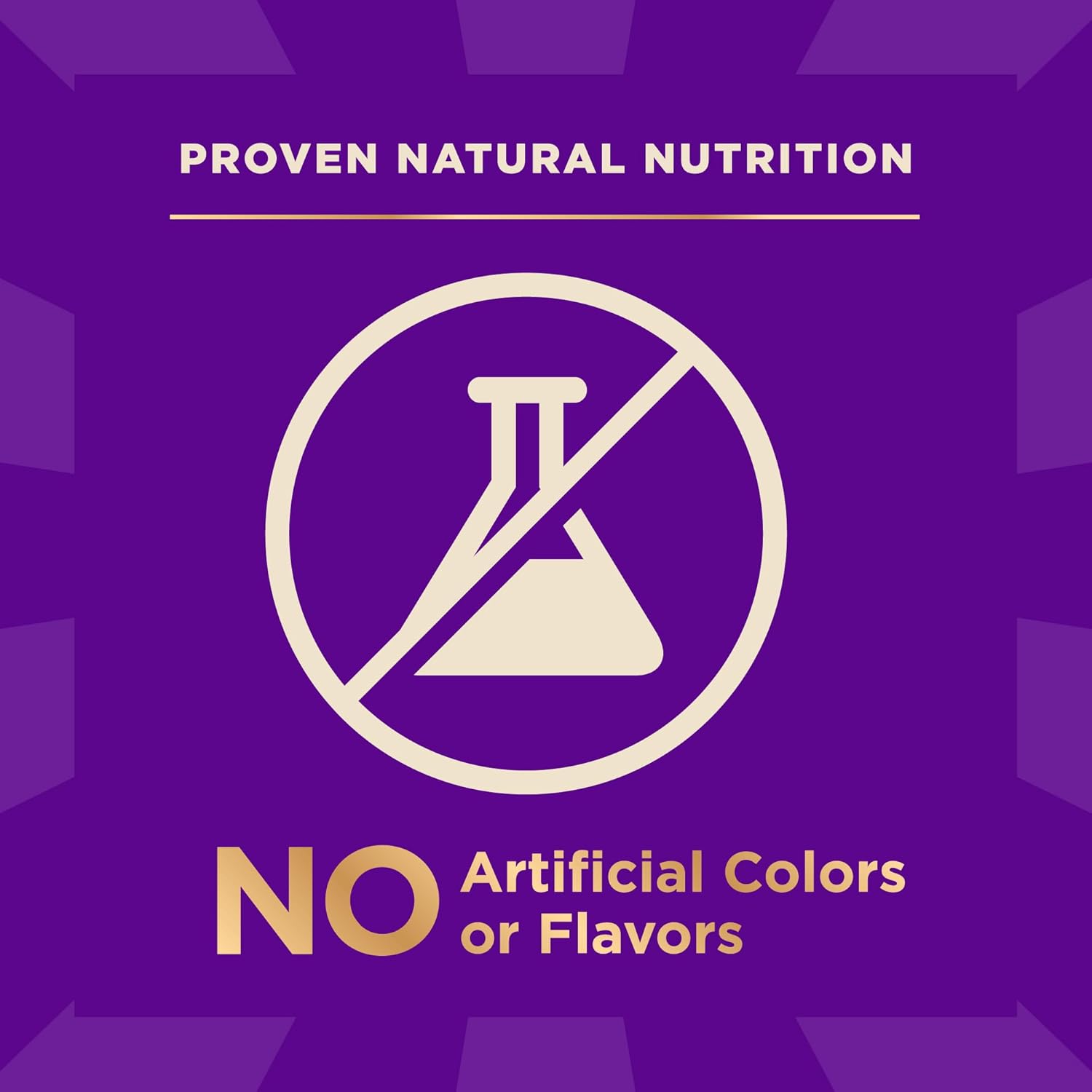 Wellness core plus grain free turkey adult dog food