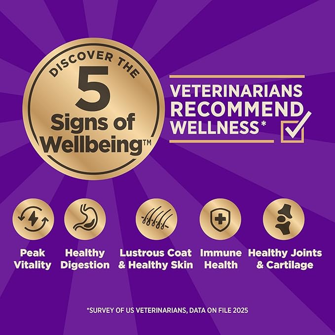 Wellness core plus grain free turkey adult dog food