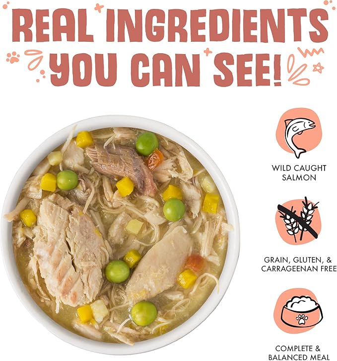 Weruva canned dog food jammin salmon with chicken and salmon in pumpkin soup