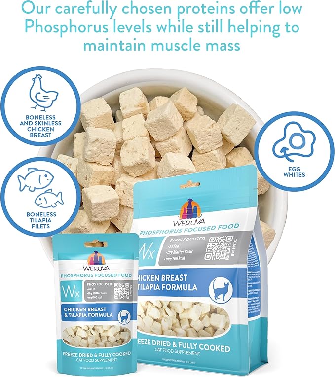 Weruva Wx Phos Focused Chicken Breast & Tilapia Formula Grain - Free Freeze - Dried Cat Food, 1 - oz bag