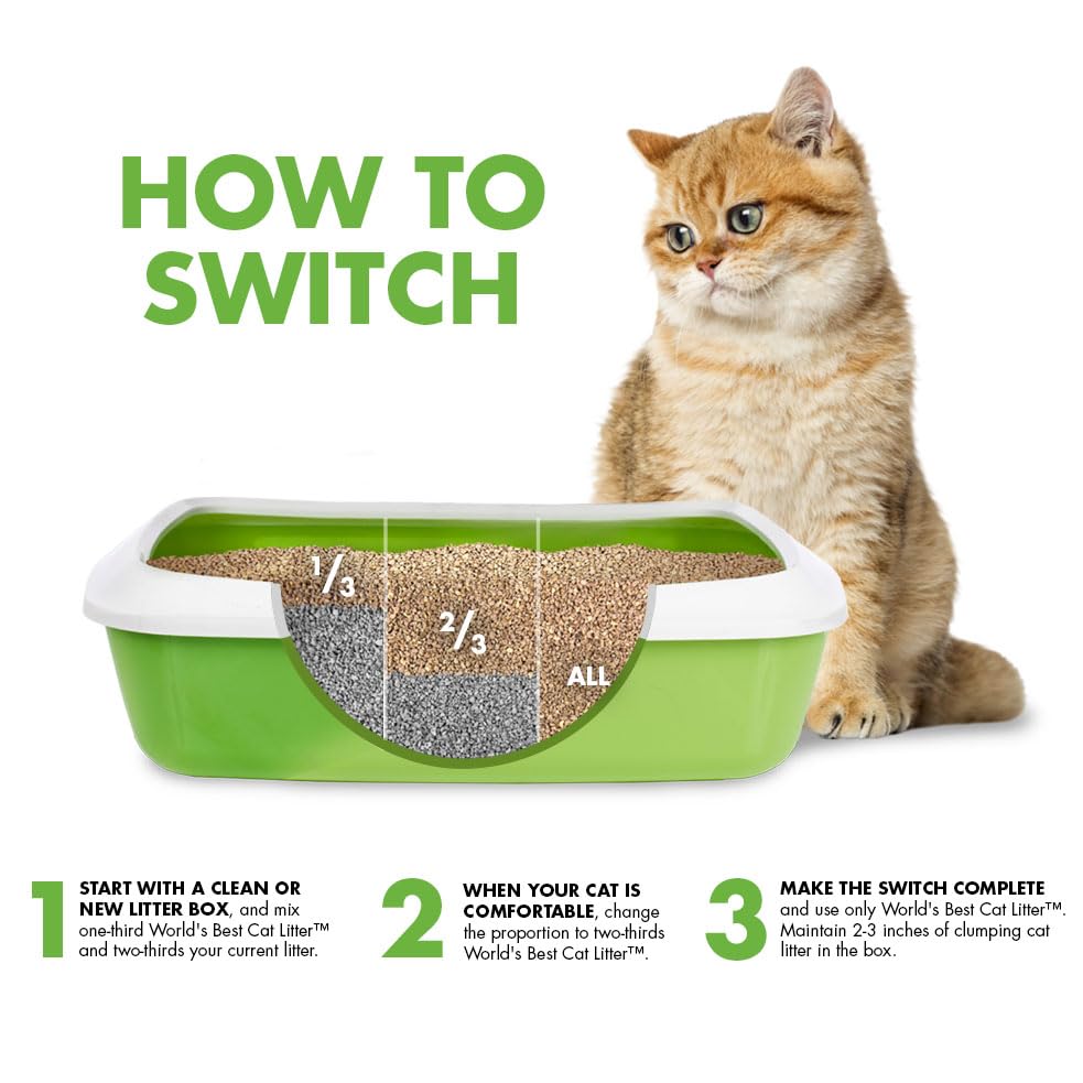 WORLD'S BEST CAT LITTER Original Unscented - 8 Pounds