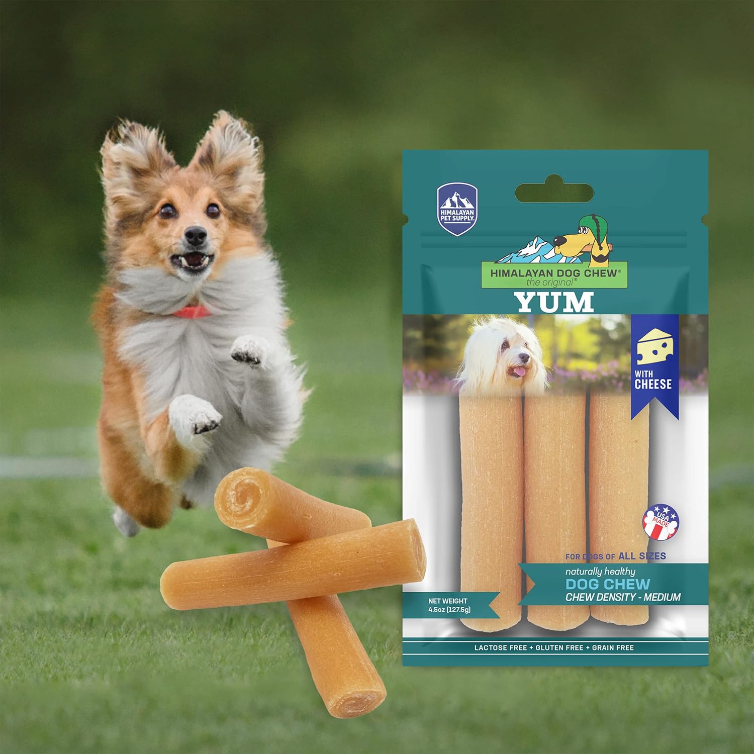 Yum Himalayan dog chew cheese dog