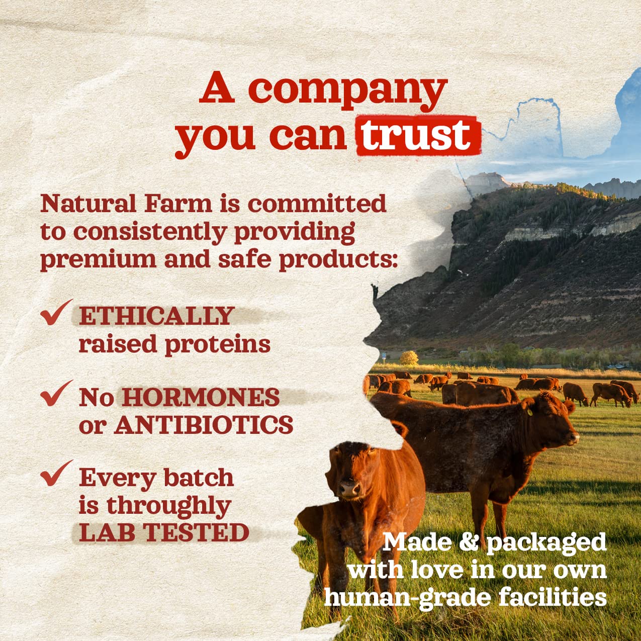 Natural Farm Odor Free Jumbo Bully Sticks (6 Inch, 12 Pack), Extra - Thick Dog Treats – Fully Digestible 100% Beef Treats, Natural Dental Chews – Keep Your Dog Busy with 50% Longer Lasting Chews