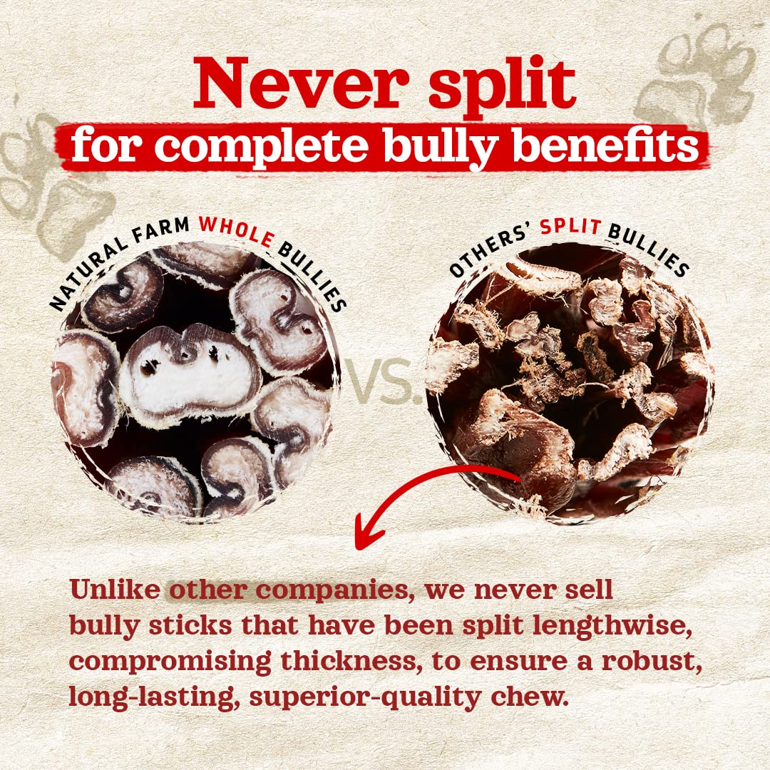 Natural Farm Odor Free Jumbo Bully Sticks (6 Inch, 12 Pack), Extra - Thick Dog Treats – Fully Digestible 100% Beef Treats, Natural Dental Chews – Keep Your Dog Busy with 50% Longer Lasting Chews