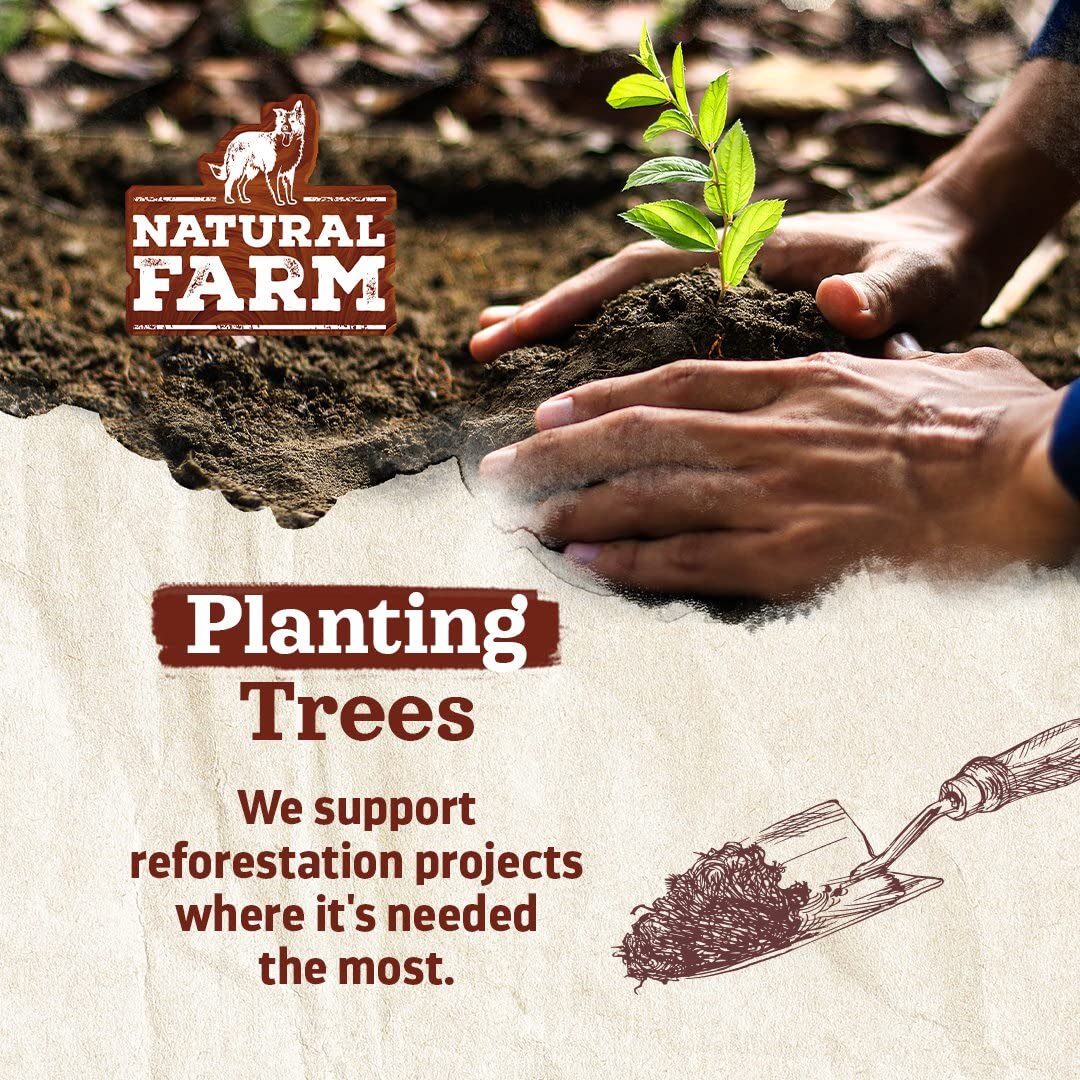 Natural Farm Odor Free Jumbo Bully Sticks (6 Inch, 12 Pack), Extra - Thick Dog Treats – Fully Digestible 100% Beef Treats, Natural Dental Chews – Keep Your Dog Busy with 50% Longer Lasting Chews