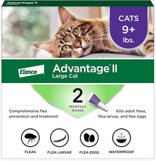 2 pack flea protection advantage large cat
