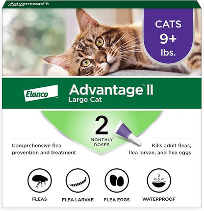 2 pack flea protection advantage large cat